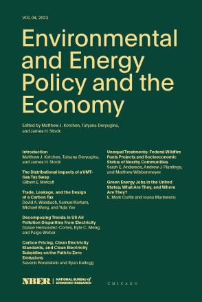 环境能源政策与经济4