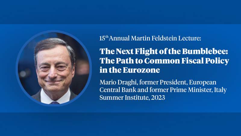 第15届费尔德斯坦年度演讲，马里奥·德拉吉，“大黄蜂的下一次飞行：欧元区共同财政政策之路”封面幻灯片