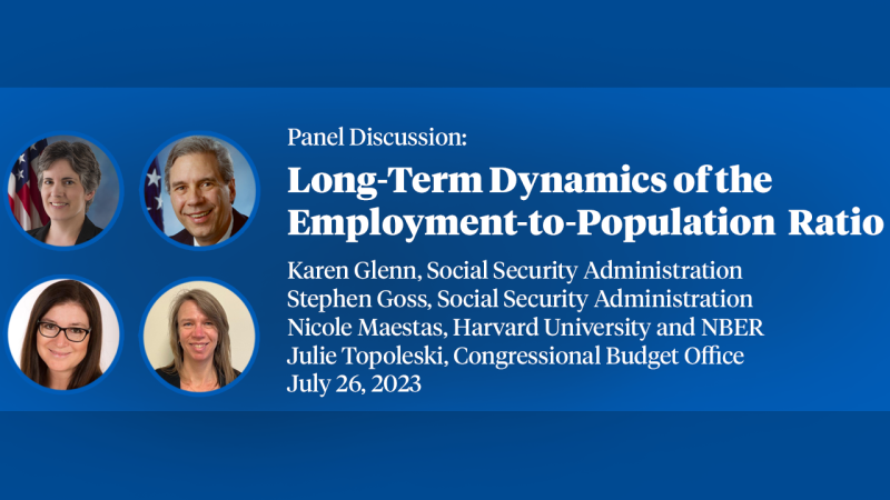 2023年，SI社会保障经济学，小组讨论，“就业与人口比率的长期动态”主要标签