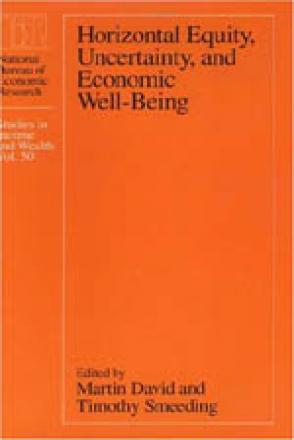 Horizontal Equity, Uncertainty, and Economic Well-being