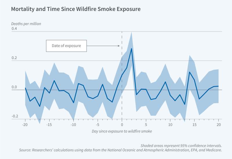 Health Consequences of Wildfire Smoke figure