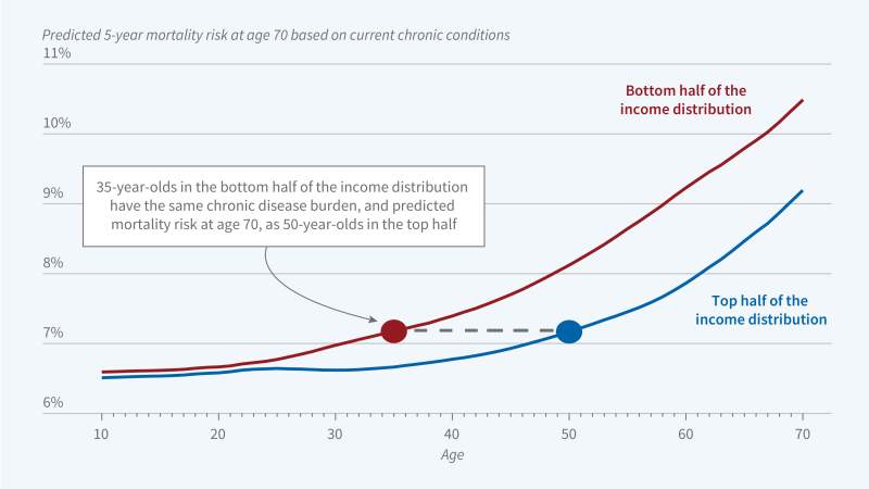 How Health Disparities Develop over the Lifecycle