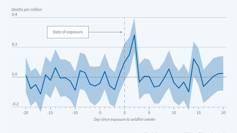 Health Consequences of Wildfire Smoke figure