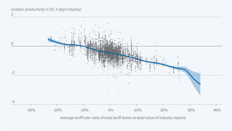 Tariffs and US Labor Productivity: Evidence from the Gilded Age Figure