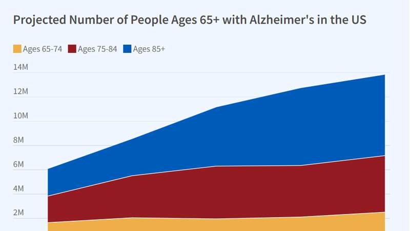 Healthcare Decision-Making and Outcomes for People Living with Alzheimer's Disease figure